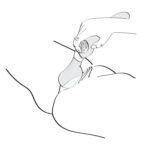 Вібромасажер Shunga Zoa Raspberry, двосторонній - Зображення 5