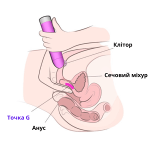 Клітор (1)
