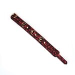 Нашийник з повідцем Liebe Seele Victorian Garden Collar with Leash - Зображення 4