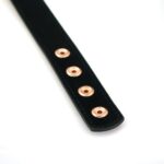 Нашийник із затискачами для сосків Liebe Seele Rose Gold Memory Collar with Nipple Clamps, шкіра - Зображення 7
