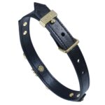 Нашийник LOCKINK Dark DIY Alphabet Collar - Зображення 5