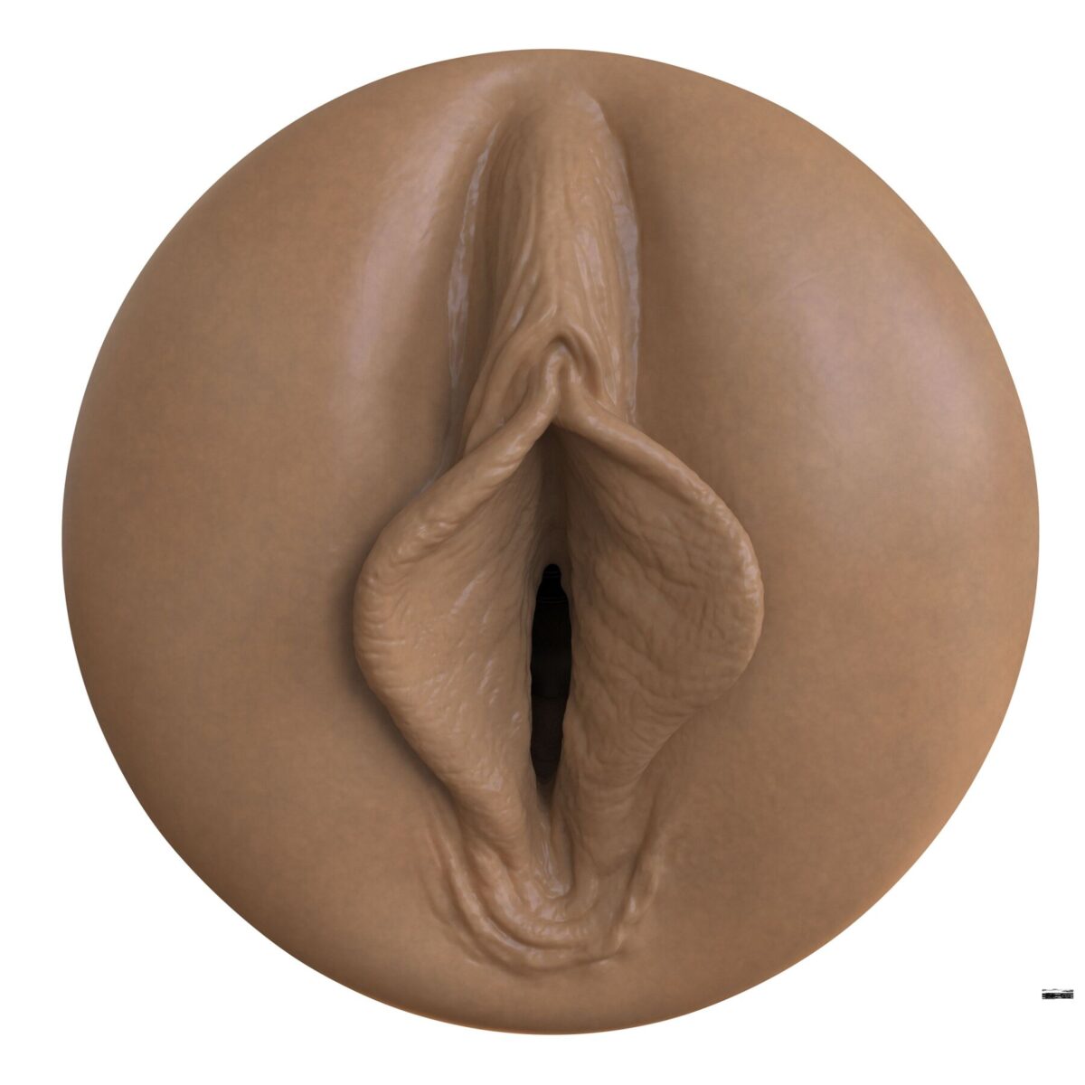 Мастурбатор-вагіна Fleshlight Boost Bang Medium Dark Flesh, плаваючі кільця Turbo Tech - Зображення 2