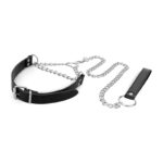 Нашийник з повідцем Bedroom Fantasies: Collar with Chain - Silver - Зображення 6